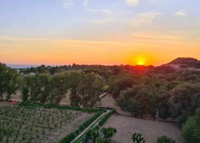 Tenuta Convivium